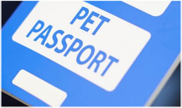 pet passport3